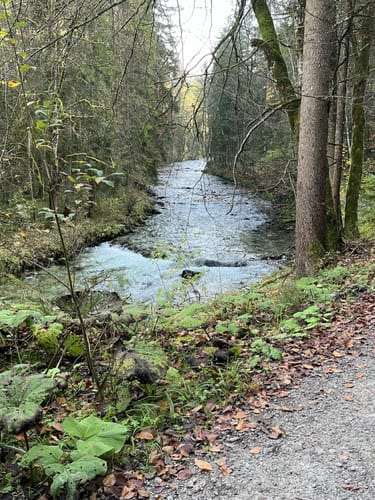 Kleine MTB-Runde Wörnsmühl