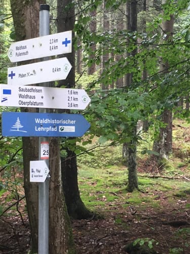 Rundweg: Reiseneggerfelsen - Saubadfelsen