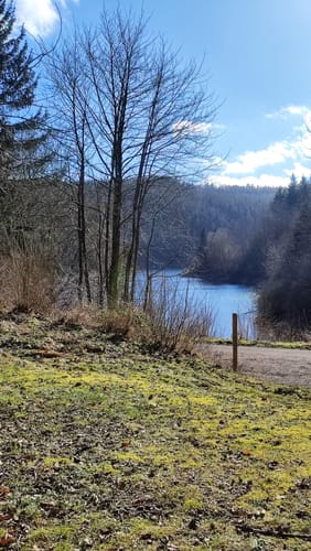 Waldkapelle und Oleftalsperre