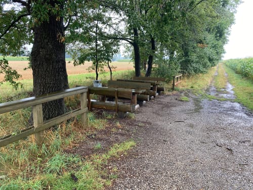 Grenzgängerroute Teil 2 - Füchtorf - Bad Iburg - Bad Laer