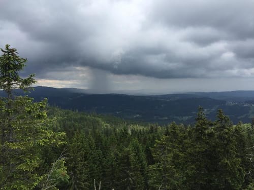 Vom Reschbachtal über Hohlstein zum Siebensteinfelsen