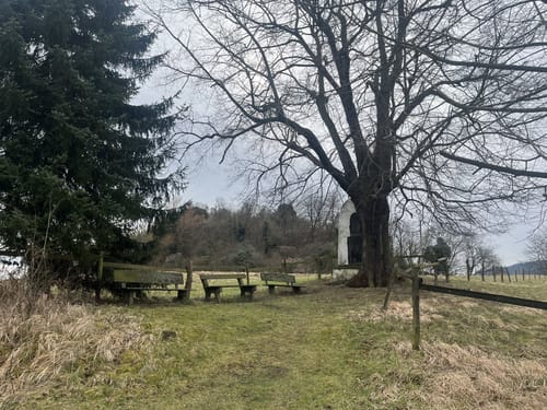 Hammerstein Rundweg He2