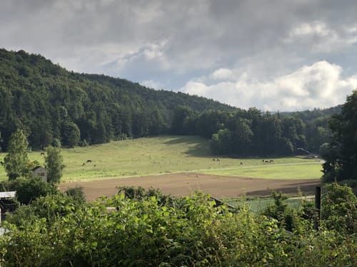 Höhenglück und Norissteig