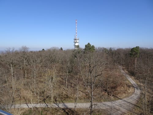 Rundwanderweg 5: Gaffenberg - Schweinsberg - Köpfertal