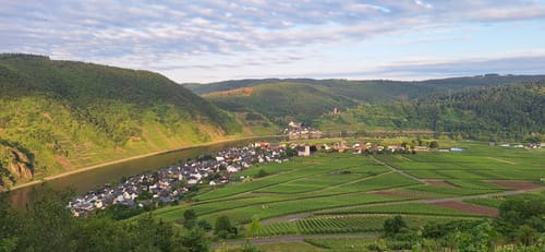 Ellenzer Rundweg
