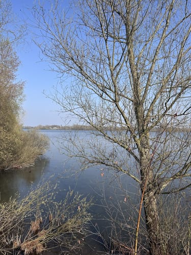 Xantener Nord- und Südsee