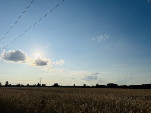 Mountainbikerunde Bad Liebenwerda - Domsdorf - Theisa