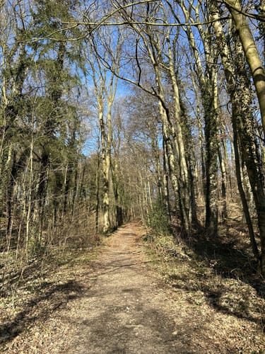 Canyon Tour (Premiumspazierwanderweg)