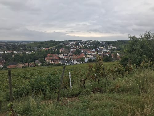 Kleiner Mainzer Höhenweg