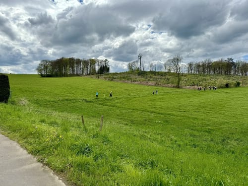 Bergische 50 2023 - 50km
