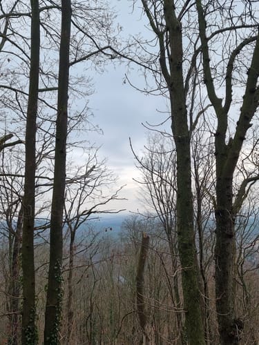 Wanderung in Radebeul