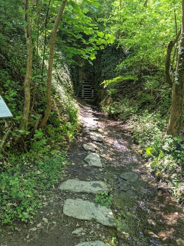 Nette-Schieferpfad (Traumpfad)