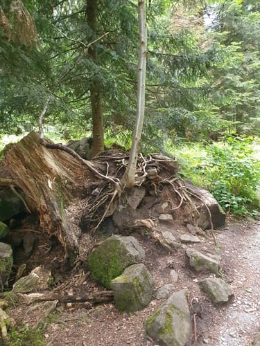 Sommerberg -Soldatenbrunnenhütte