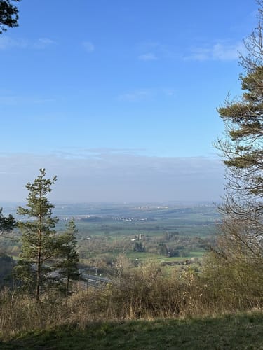 Waldseilgarten und Eiche am alten Rain ab Naturfreundehaus Herrenberg