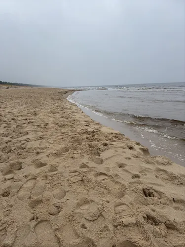 Exp art com jinsiy aloqa