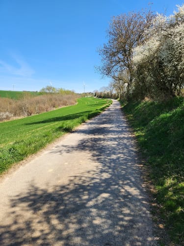 Von Bitburg nach Rittersdorf