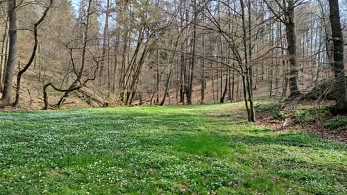 Liegau-Augustusbad - Seifersdorfer Tal -  Seifersdorf