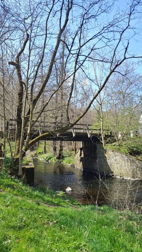 Liegau-Augustusbad - Seifersdorfer Tal -  Seifersdorf