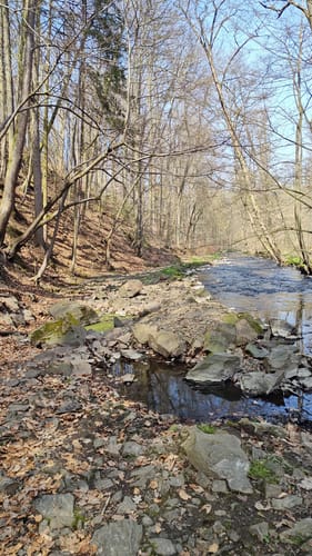 Liegau-Augustusbad - Seifersdorfer Tal -  Seifersdorf