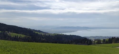 Lutzenreute und Eichenberg Rundweg