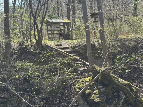 Heldrastein P6 (Premiumwanderweg)