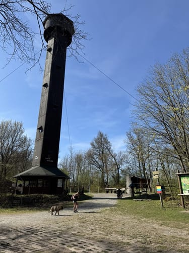 Heldrastein P6 (Premiumwanderweg)