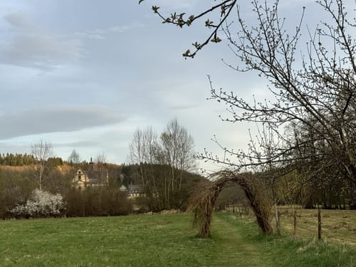 Kloster Himmerod Rundwanderung