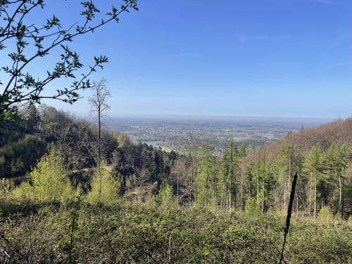 MTB-Runde des RC Sprintax: Olderdissen-Halle
