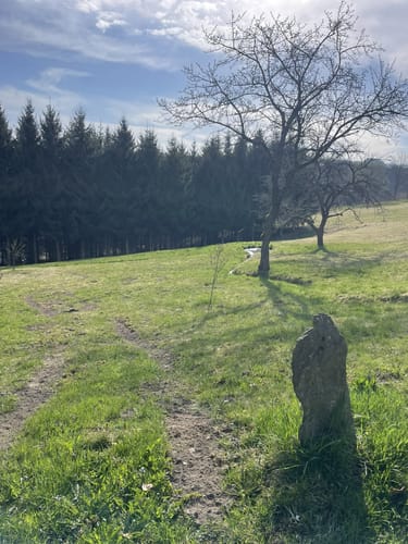 Pohlberg - Geyersdorf Runde