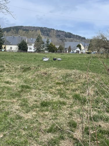 Pohlberg - Geyersdorf Runde