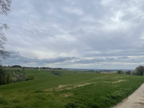 Im Wald bei Lingental