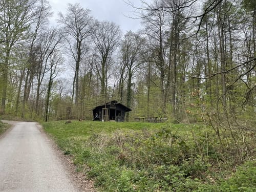 Im Wald bei Lingental