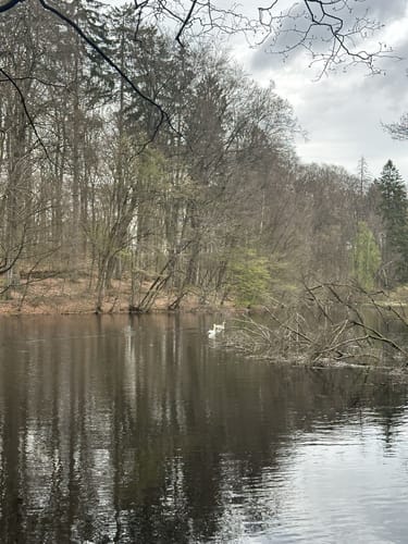 Rundwanderung in der Hahnheide ab Sängerberg
