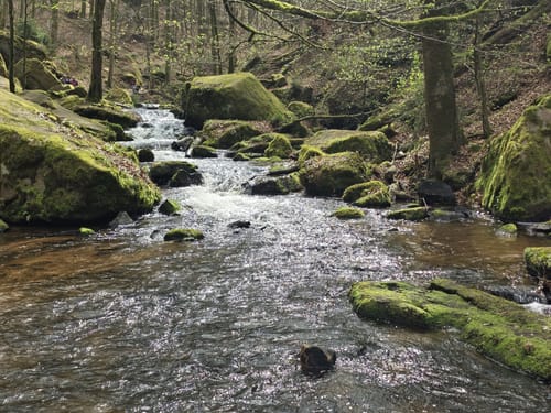 Durchs Finsterbrunnertal und Karlstal