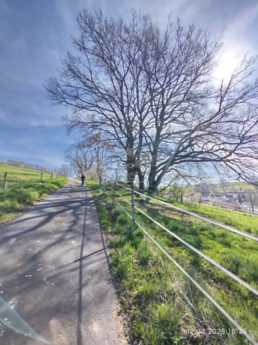Drachenweg Dorn Mossautal