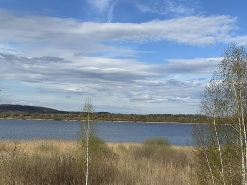 Rund um den Geiseltalsee