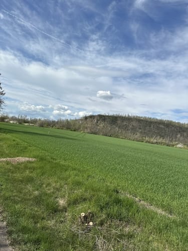 Rund um den Geiseltalsee