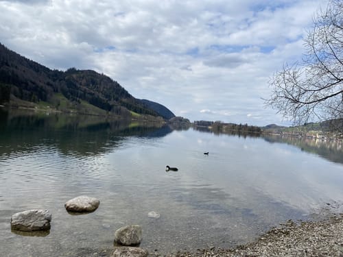 Familientraumtour Baumerlebnispfad (Schliersee)