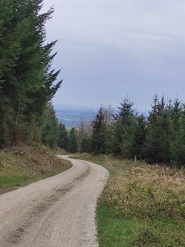 Zwischen Wiesent und Frauenzell