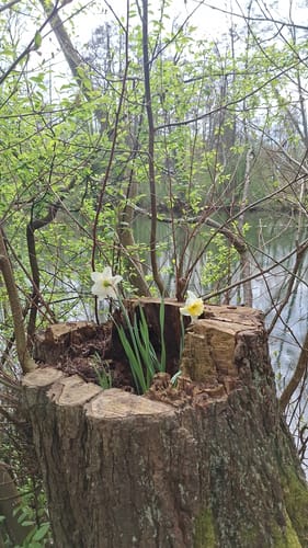 Auf den Spuren der Wittelsbacher