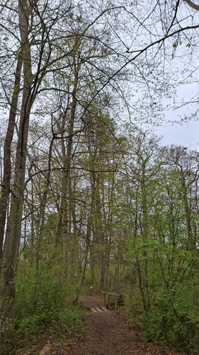 Auf den Spuren der Wittelsbacher