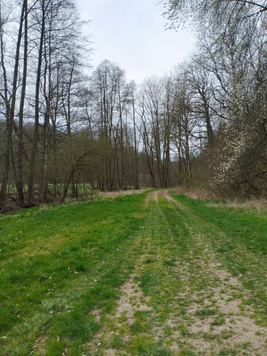 Liebschwitz - Zoirzberg - Taubenpreskeln - Wipsetal
