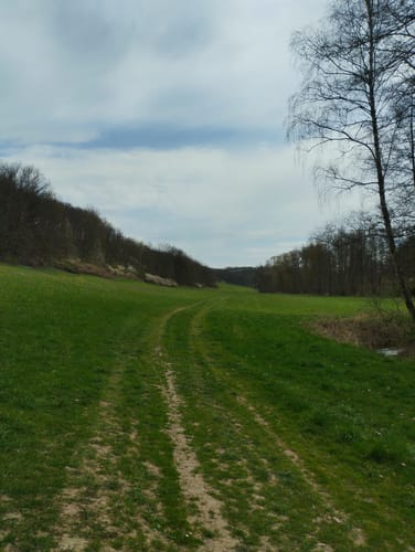 Liebschwitz - Zoirzberg - Taubenpreskeln - Wipsetal
