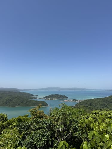 激安超特価 最大80%オフ  Photos of 大宜味の石灰岩の山と森周回コース - Okinawa, Japan 絵画