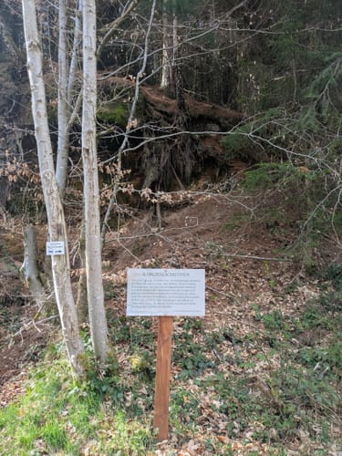 Höheinöd - Weihermühle - Odenbachtal