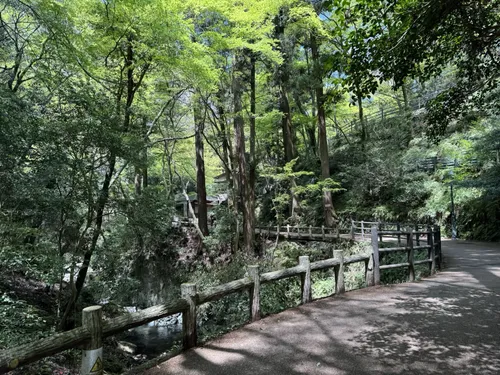 箕面山 - hikes and trails to get you there | AllTrails