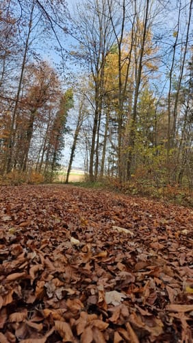 Im Leudelsbachtal