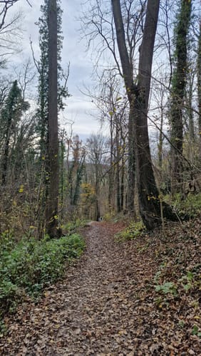Im Leudelsbachtal