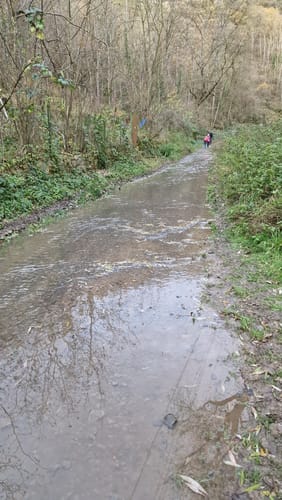Im Leudelsbachtal