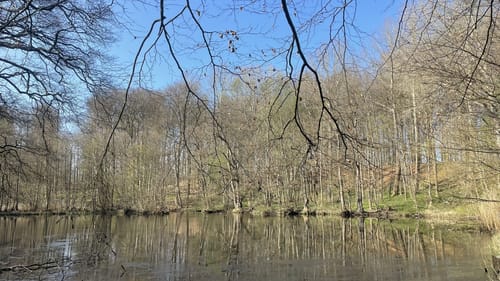 Herrenhaus Nütschau - Silbersee Rundwanderung